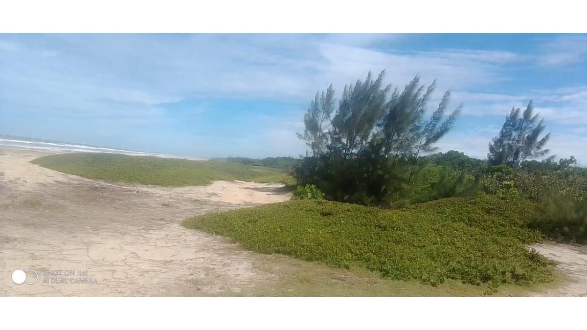 2 bed flat to let, Crown Lodge, Elystan Street - African Land