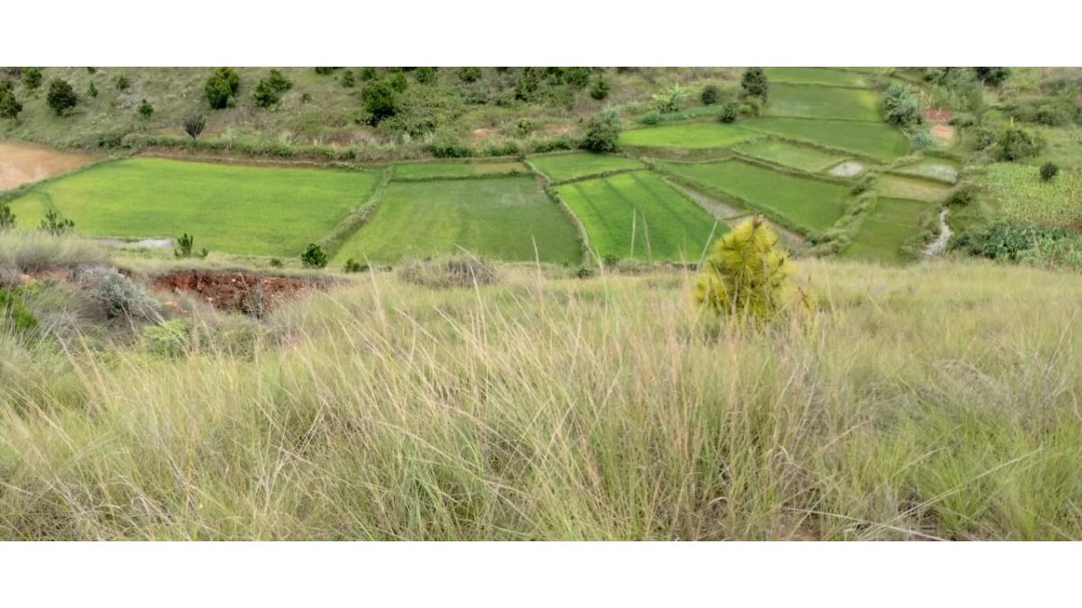 2 bed flat to let, Crown Lodge, Elystan Street - African Land