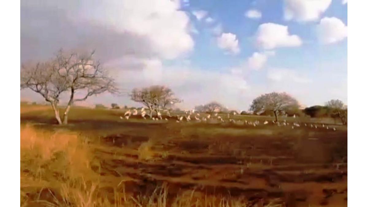 13,761 Hectares Secured Investment Land for Sale in Mika Antsohihy, Northern Madagascar
