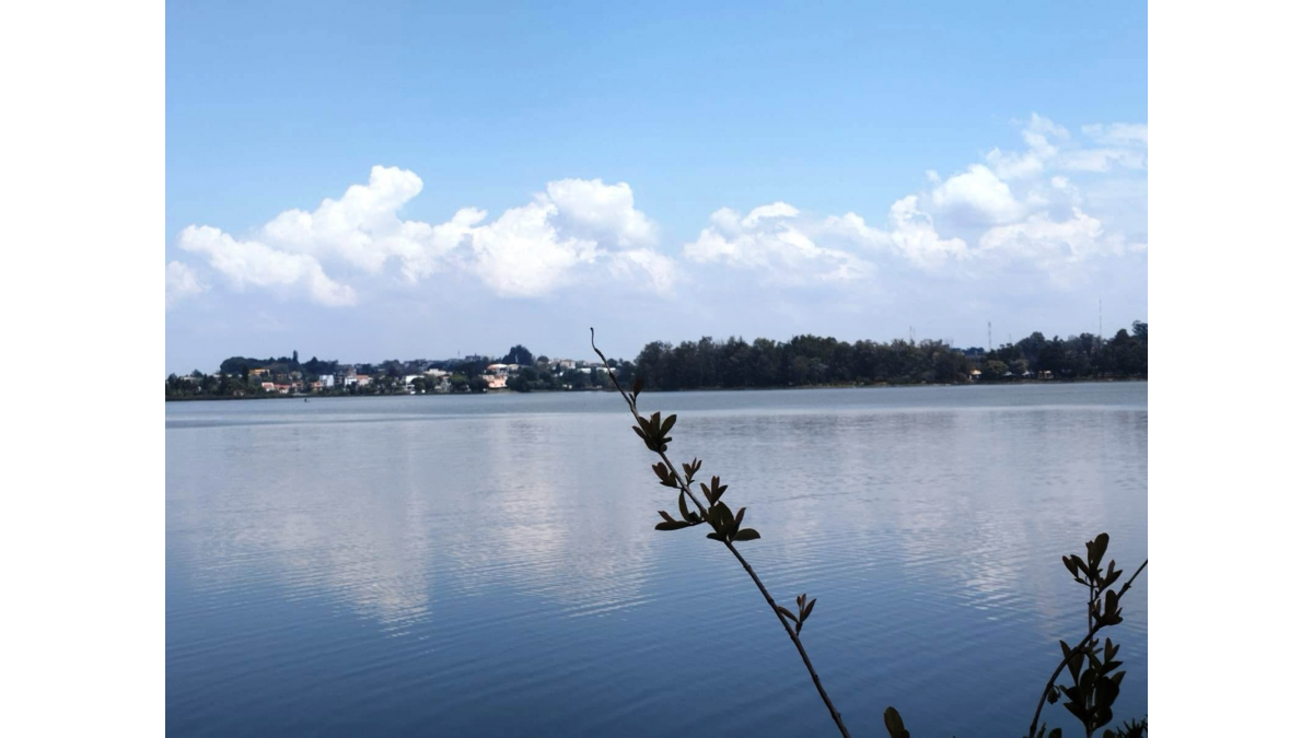 2 bed flat to let, Crown Lodge, Elystan Street - African Land