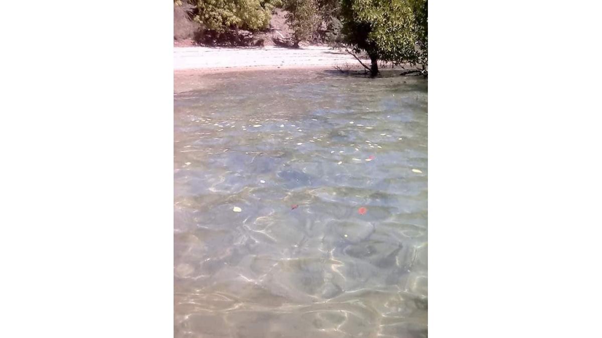 Two Private Islands for Sale in Northern Madagascar – Russian Bath Island | US$150 Million