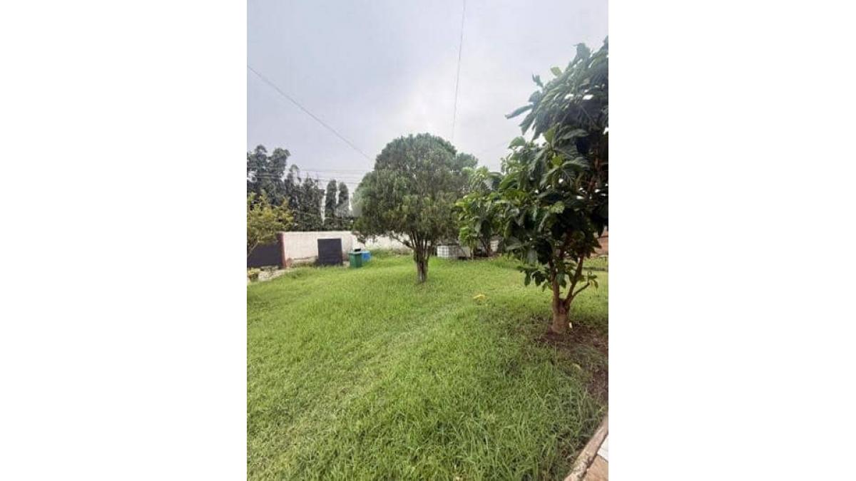 2 bed flat to let, Crown Lodge, Elystan Street - African Land