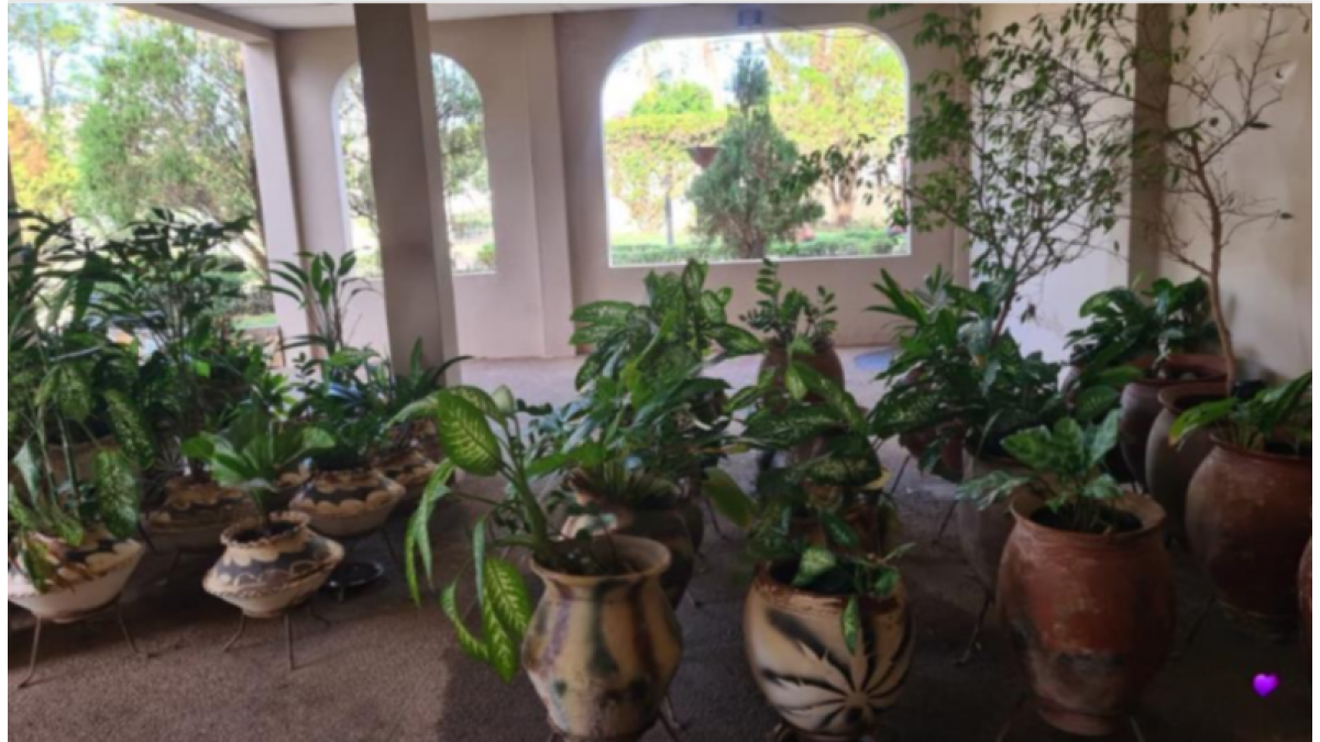 2 bed flat to let, Crown Lodge, Elystan Street - African Land
