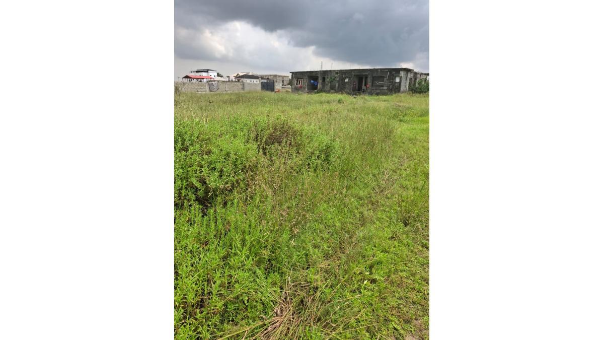 500sqm Vacant Land for Sale Off Monastery Road, Sangotedo, Lagos