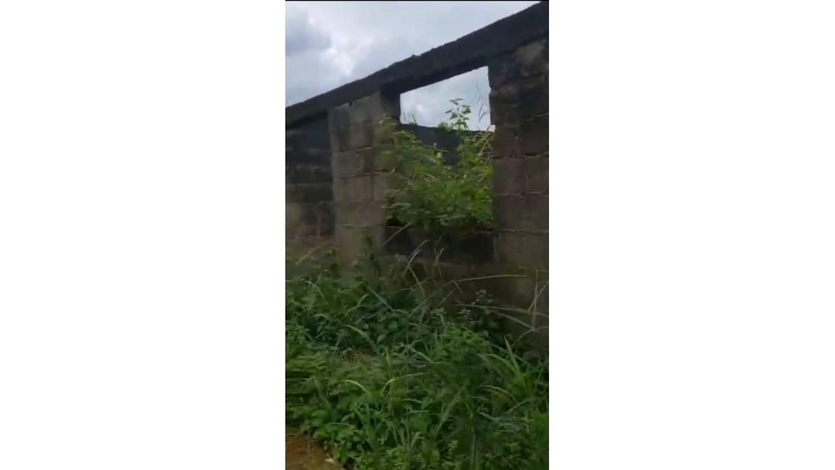 2 bed flat to let, Crown Lodge, Elystan Street - African Land