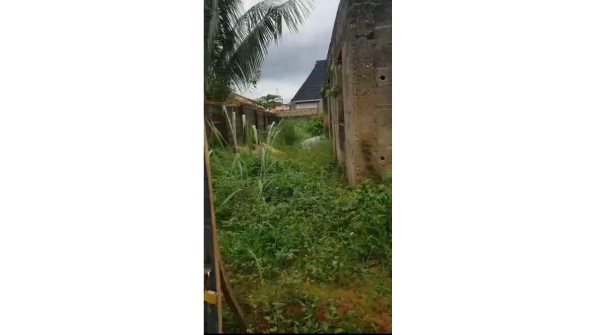 2 bed flat to let, Crown Lodge, Elystan Street - African Land