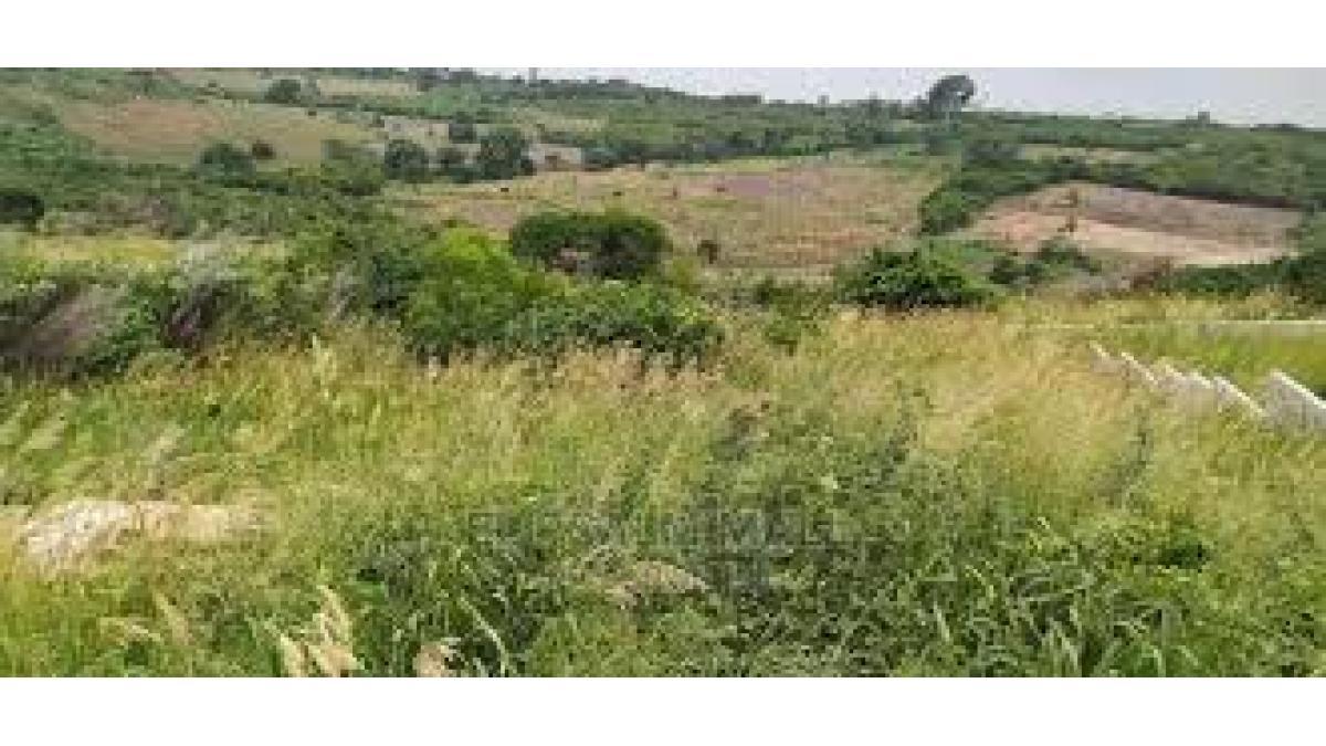 Prime Agricultural Land for Sale in Akenkensu