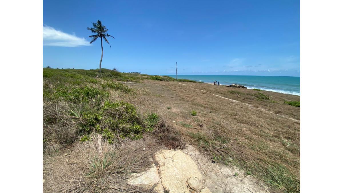 10-Acre Beachfront Land in Amomabo