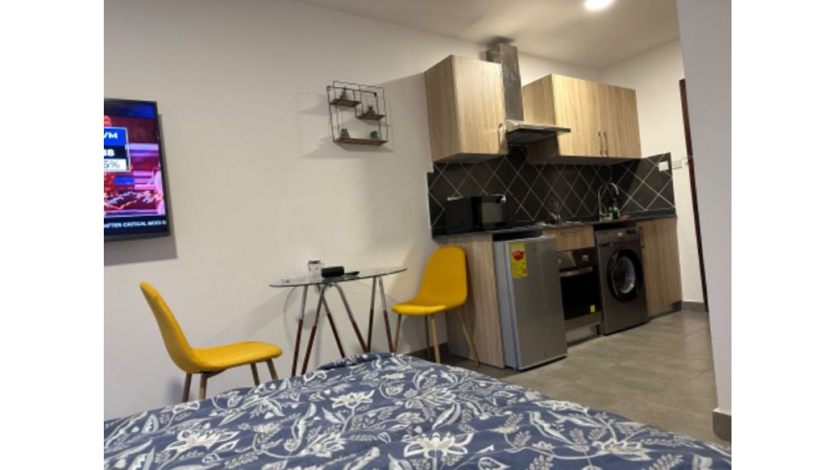 Furnished Studio Apartment with Swimming Pool and Gym at Oasis Park Residence, East Legon, Accra