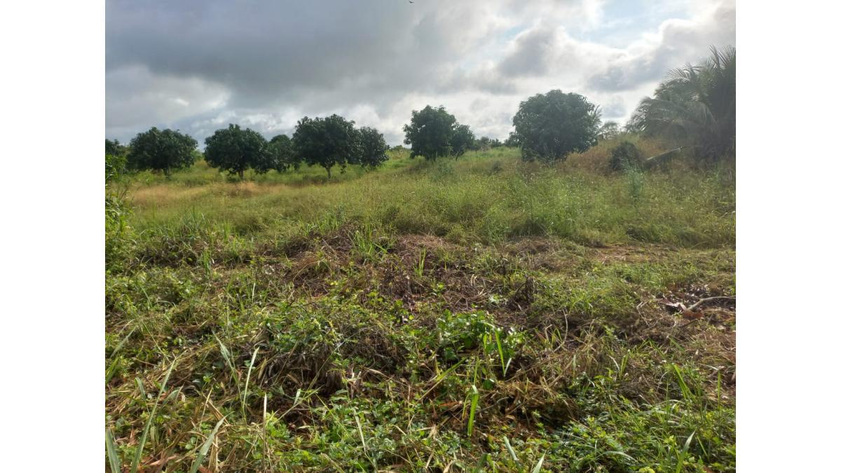12 Plots of Land for Sale at Sogakope Detsawome, Volta Region, Ghana