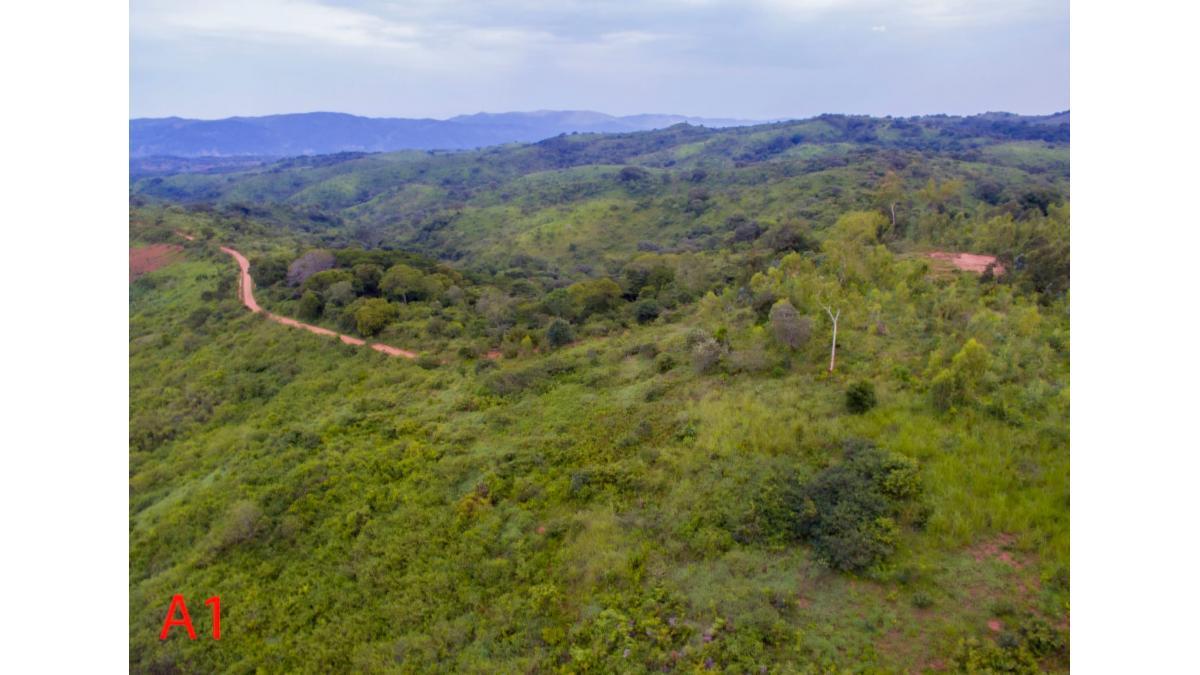Prime Agricultural Land – 90 Hectares | Chikwiina, Northern Malawi