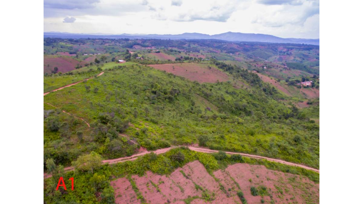 2 bed flat to let, Crown Lodge, Elystan Street - African Land
