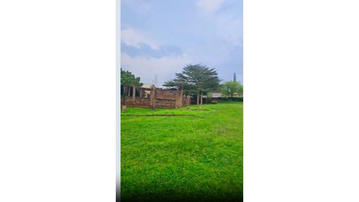 2 bed flat to let, Crown Lodge, Elystan Street - African Land