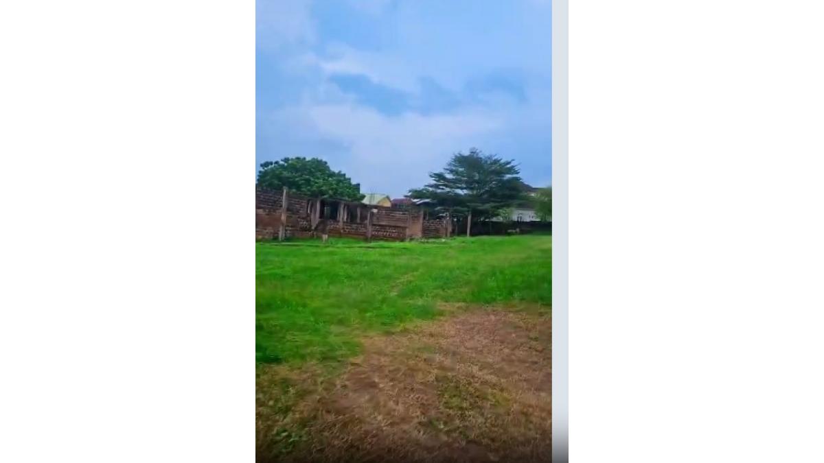 2 bed flat to let, Crown Lodge, Elystan Street - African Land