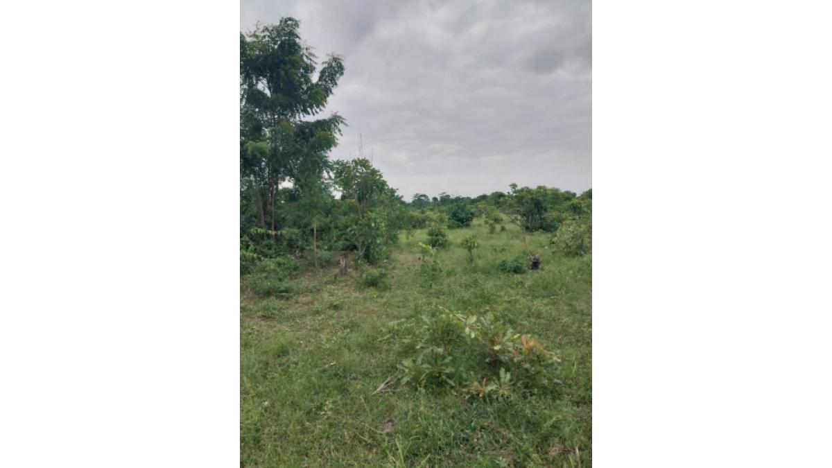 2 bed flat to let, Crown Lodge, Elystan Street - African Land