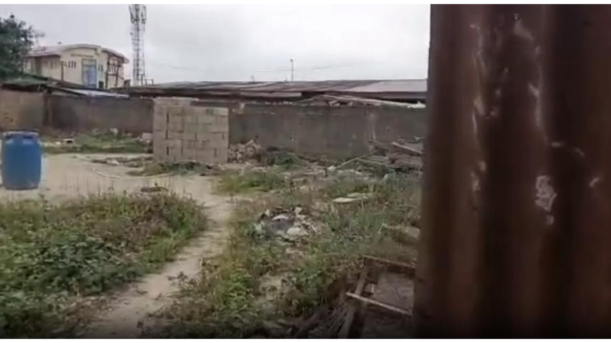 2 bed flat to let, Crown Lodge, Elystan Street - African Land