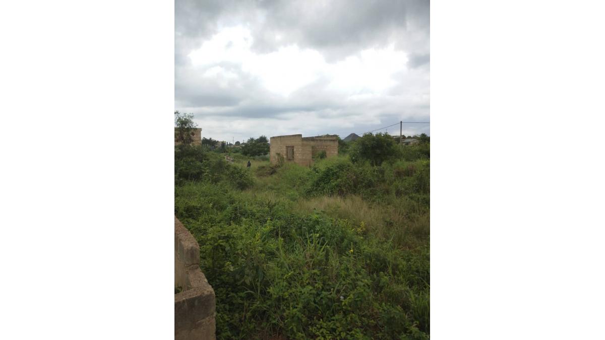 2 bed flat to let, Crown Lodge, Elystan Street - African Land