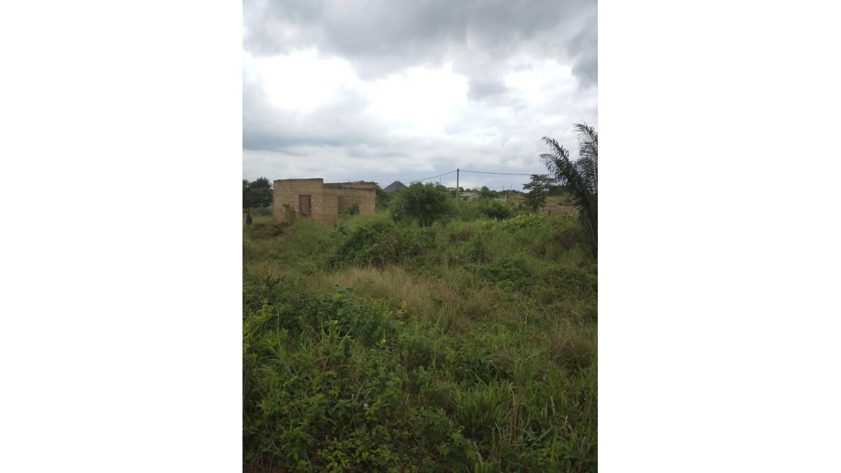 2 bed flat to let, Crown Lodge, Elystan Street - African Land