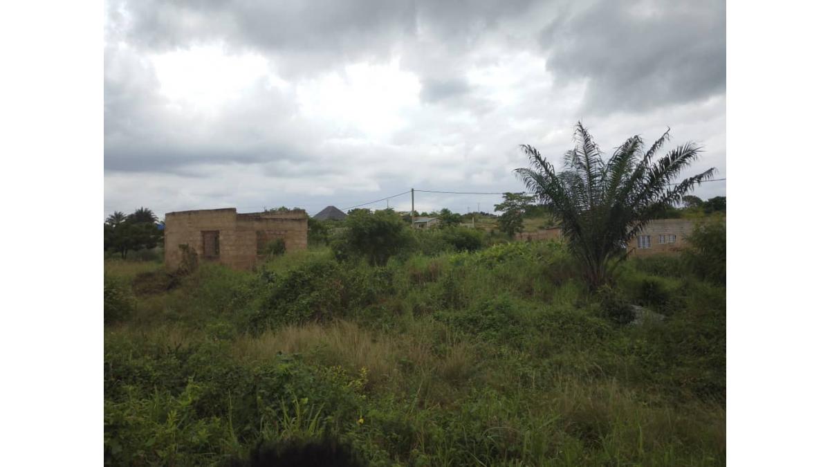 2 bed flat to let, Crown Lodge, Elystan Street - African Land