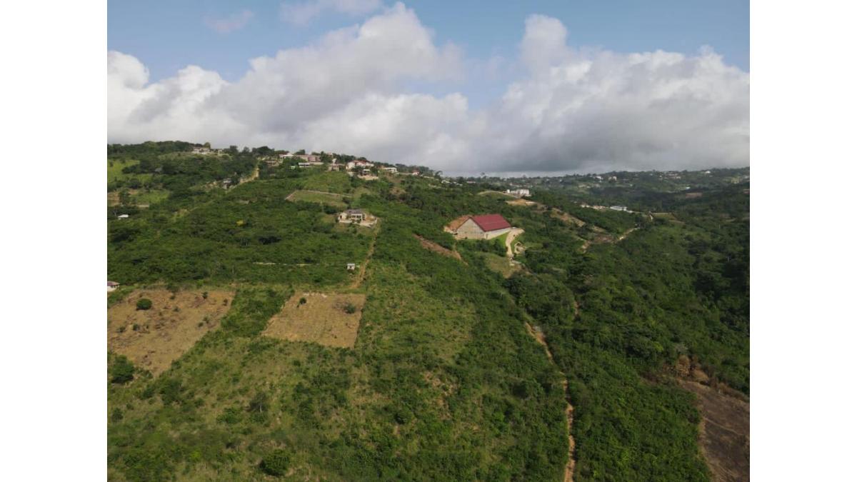 2 bed flat to let, Crown Lodge, Elystan Street - African Land