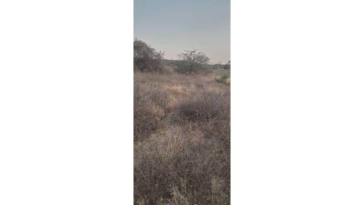 Tanzanite Mining Project for Sale – Merelani, Manyara, Tanzania
