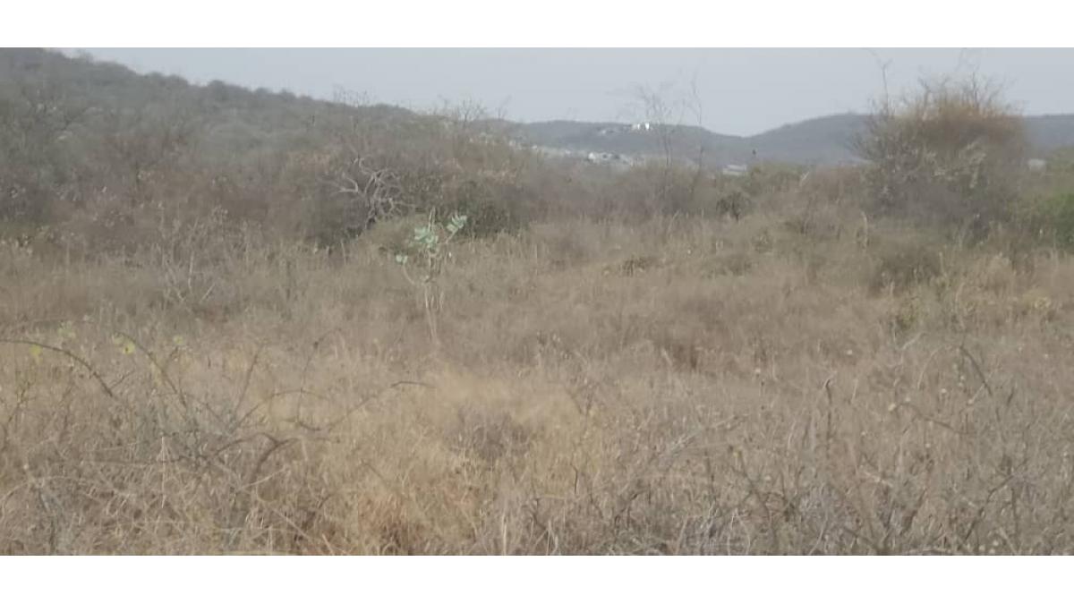 2 bed flat to let, Crown Lodge, Elystan Street - African Land