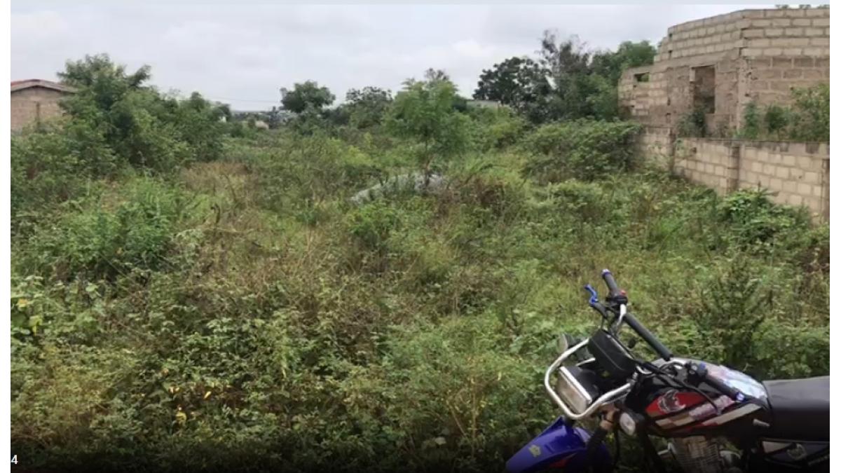 2 bed flat to let, Crown Lodge, Elystan Street - African Land