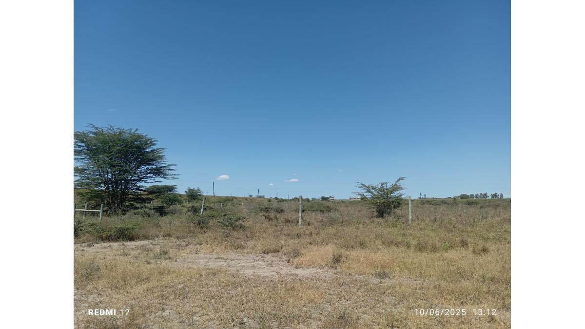 2 bed flat to let, Crown Lodge, Elystan Street - African Land