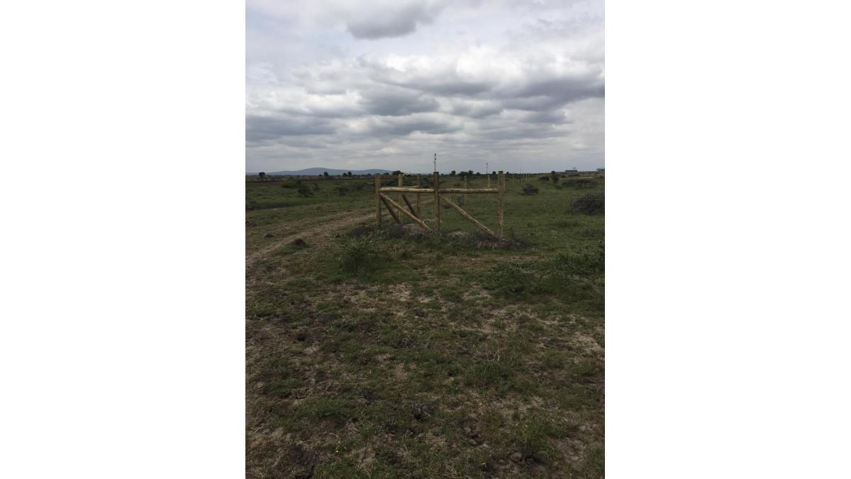 2 bed flat to let, Crown Lodge, Elystan Street - African Land