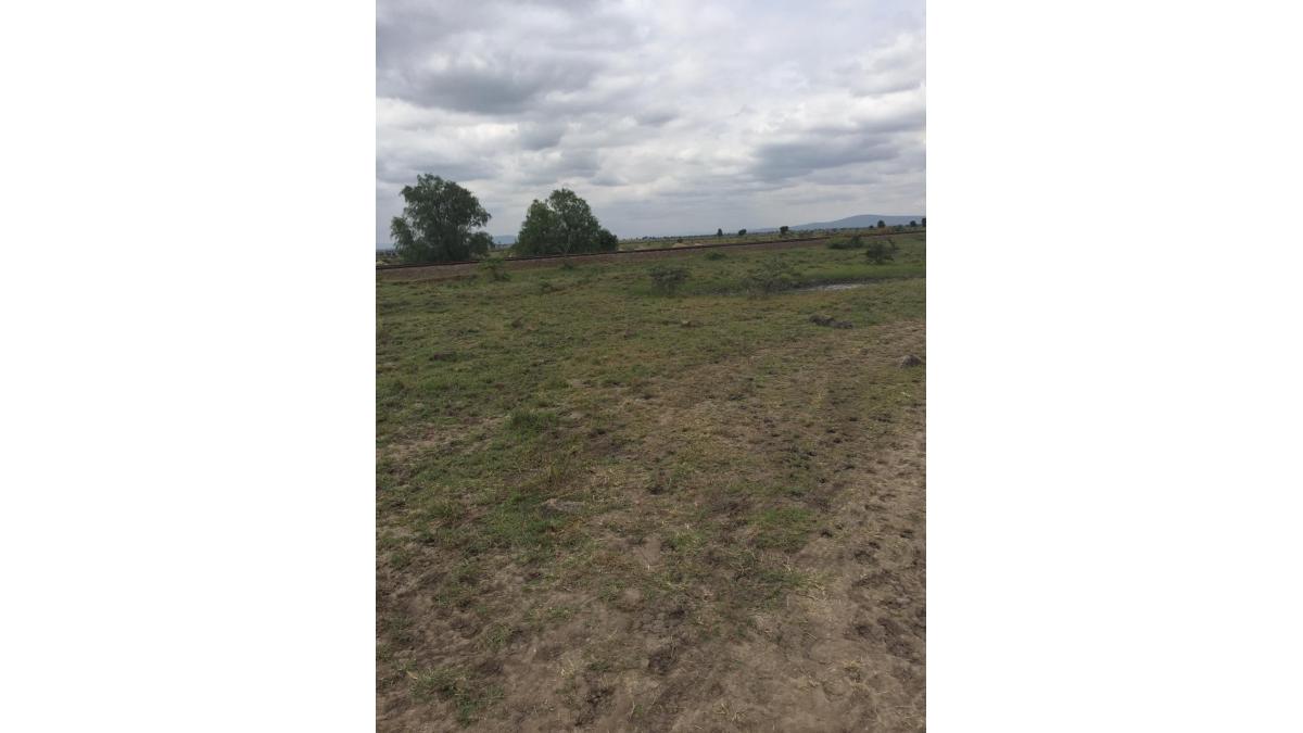 2 bed flat to let, Crown Lodge, Elystan Street - African Land