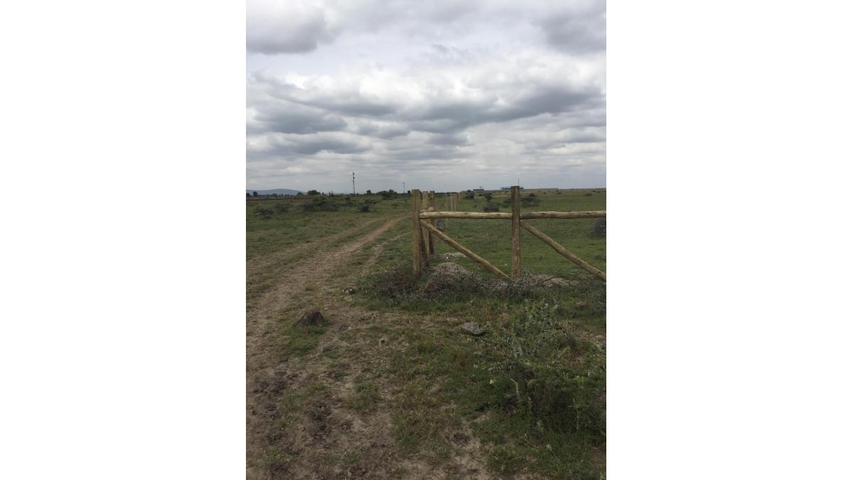 2 bed flat to let, Crown Lodge, Elystan Street - African Land