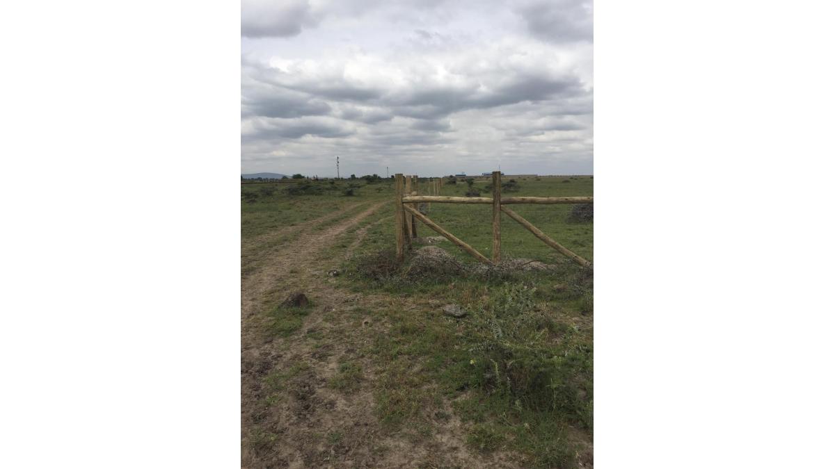 2 bed flat to let, Crown Lodge, Elystan Street - African Land