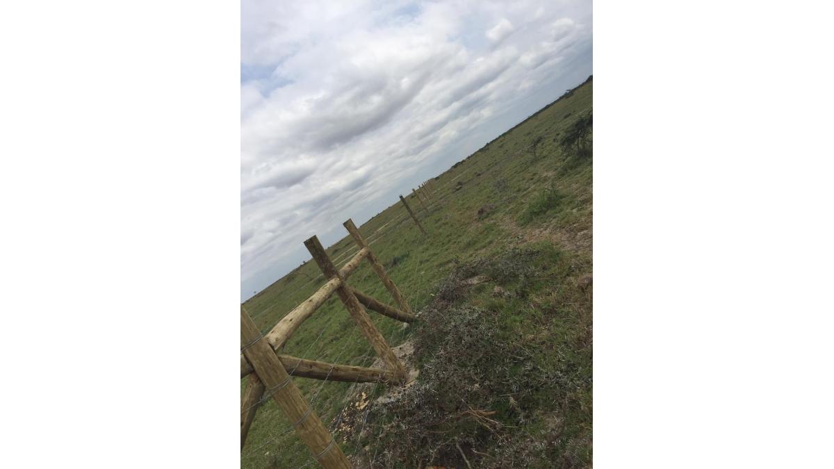 2 bed flat to let, Crown Lodge, Elystan Street - African Land