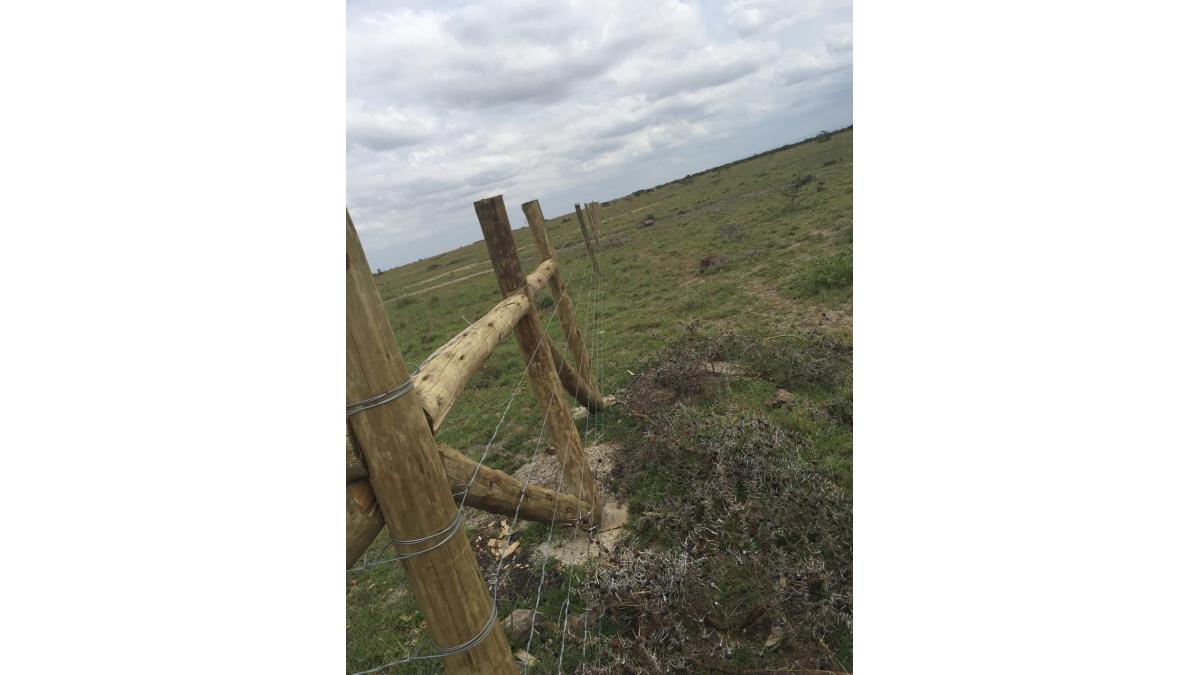 2 bed flat to let, Crown Lodge, Elystan Street - African Land