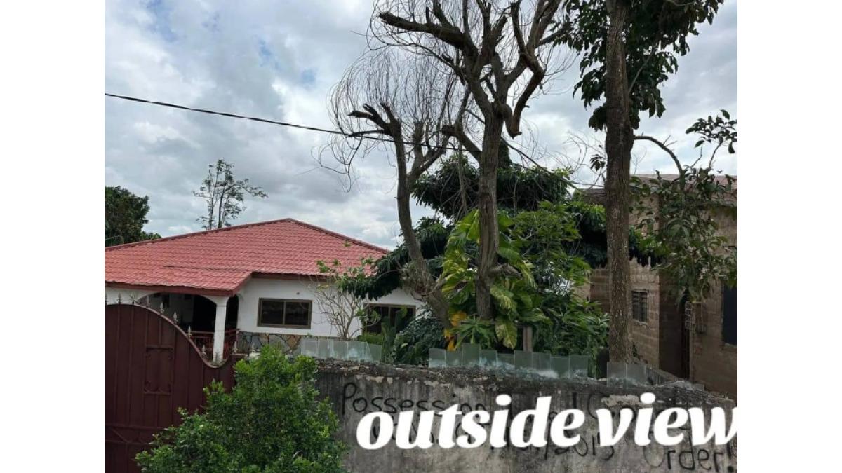 2 bed flat to let, Crown Lodge, Elystan Street - African Land