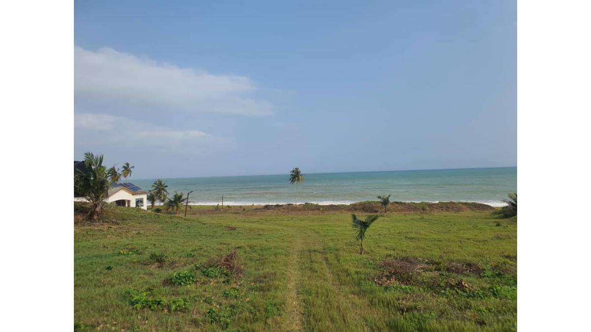 2 bed flat to let, Crown Lodge, Elystan Street - African Land