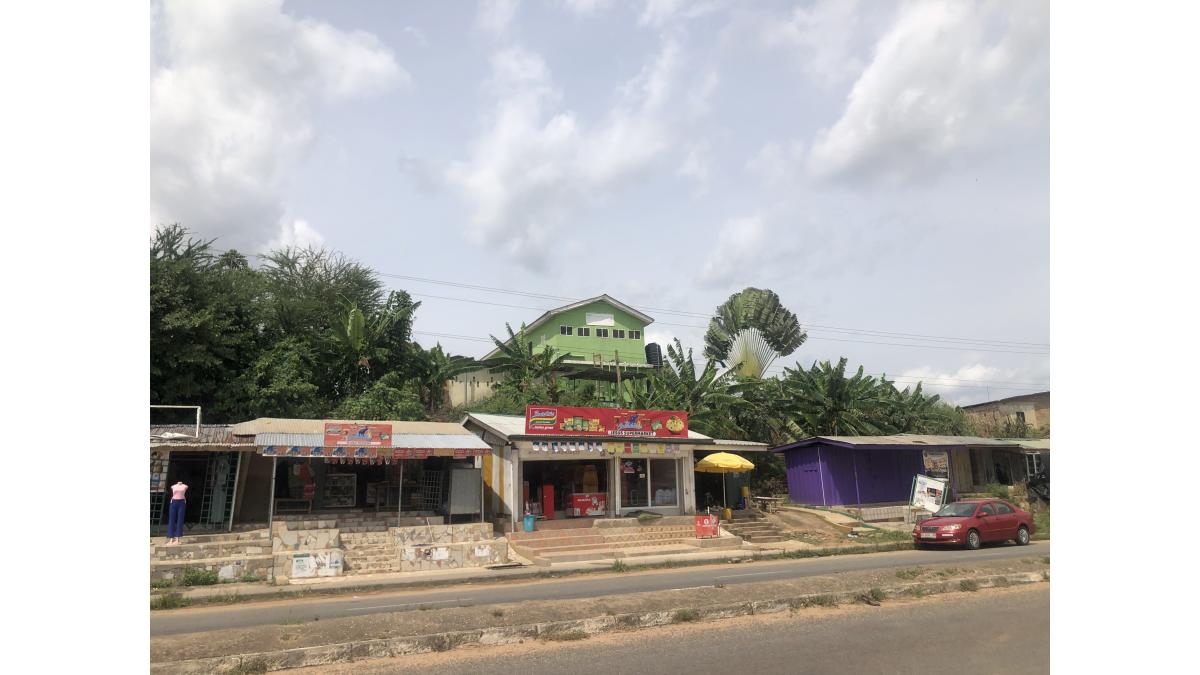 2 bed flat to let, Crown Lodge, Elystan Street - African Land