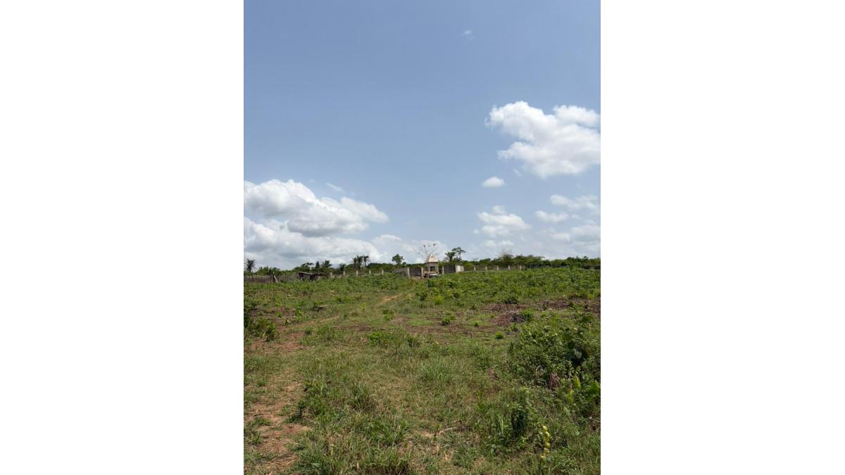 2 bed flat to let, Crown Lodge, Elystan Street - African Land