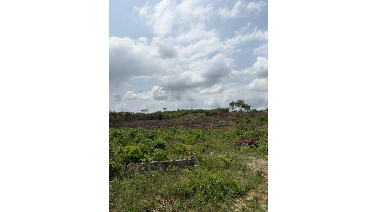 2 bed flat to let, Crown Lodge, Elystan Street - African Land