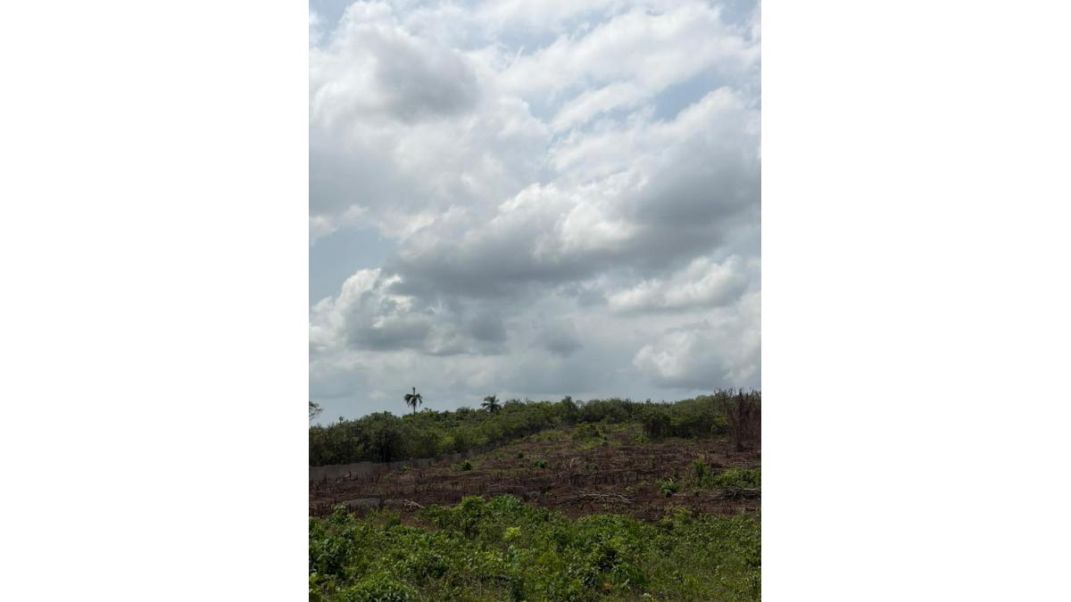 2 bed flat to let, Crown Lodge, Elystan Street - African Land