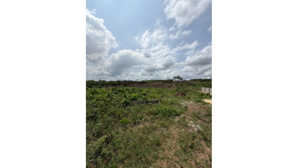 2 bed flat to let, Crown Lodge, Elystan Street - African Land