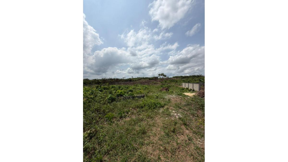 2 bed flat to let, Crown Lodge, Elystan Street - African Land