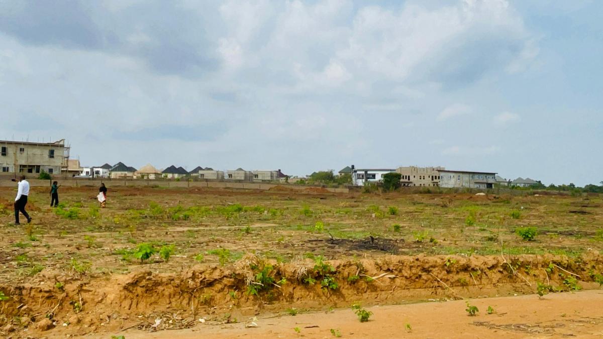 2 bed flat to let, Crown Lodge, Elystan Street - African Land