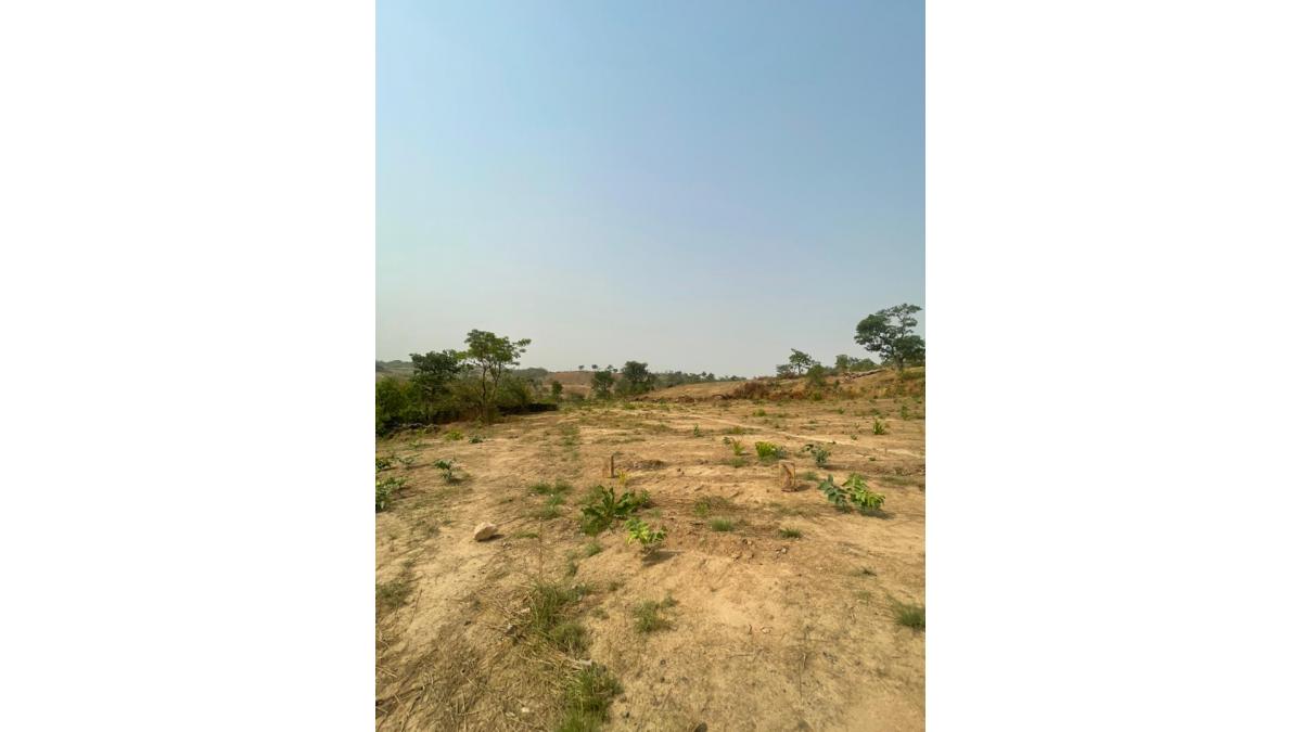 2 bed flat to let, Crown Lodge, Elystan Street - African Land