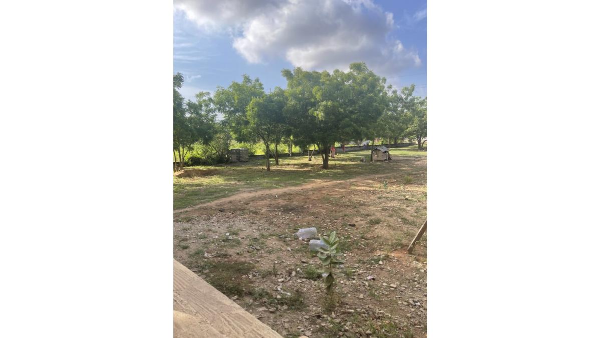 2 bed flat to let, Crown Lodge, Elystan Street - African Land