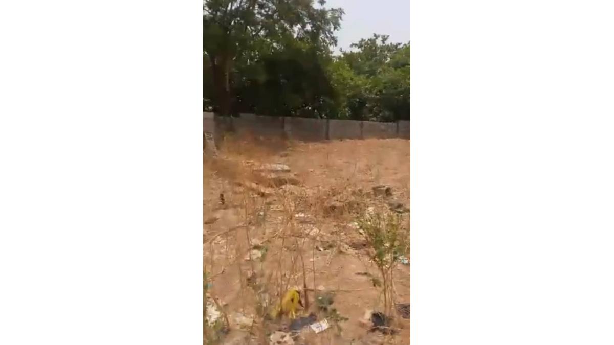 2 bed flat to let, Crown Lodge, Elystan Street - African Land