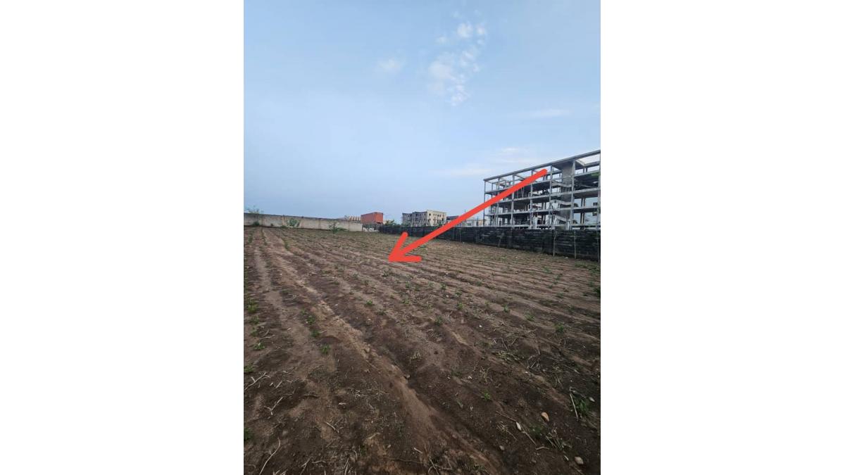 2 bed flat to let, Crown Lodge, Elystan Street - African Land