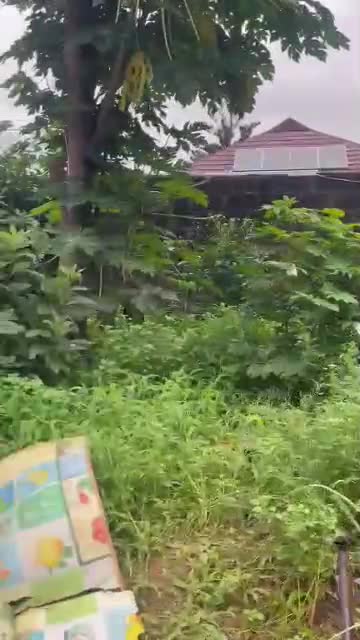 Commercial Quarter Plot with Road Frontage for Sale on Ekoro Road, Abule Egba, Lagos video thumbnail